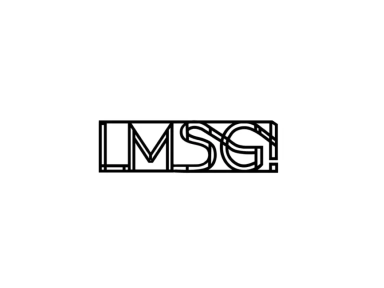What Does Lmsg Mean