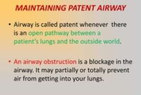 What Does Airway Patent Mean