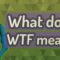 What Does WTFK Mean In Text