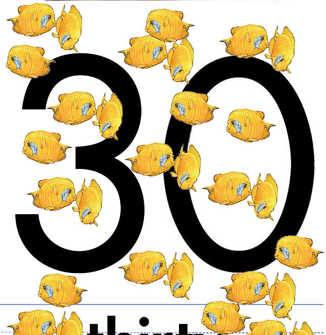 What Does Numbers 30 Mean