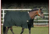 What Does Denier Mean In Horse Blankets