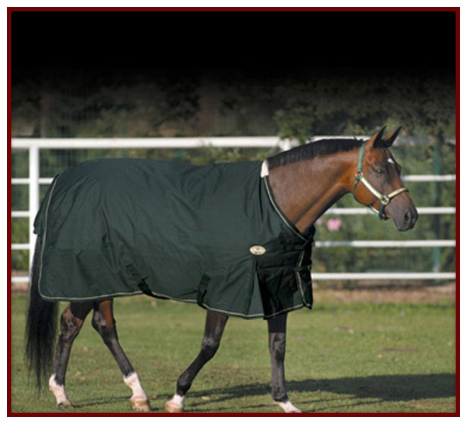 What Does Denier Mean In Horse Blankets