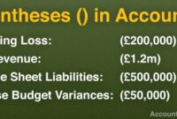 What Does Parentheses Mean In Accounting