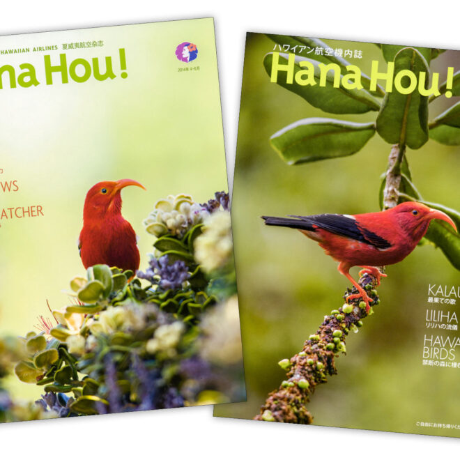 What Does Hana Hou Mean