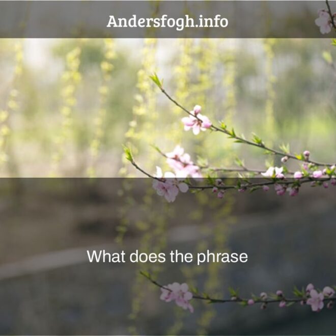 What Does A Ram In The Bush Mean