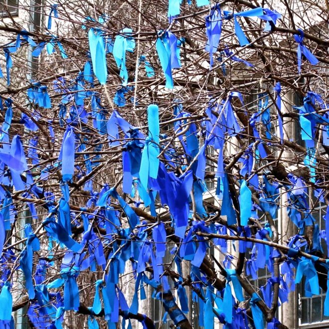 What Do Blue Ribbons On Trees Mean