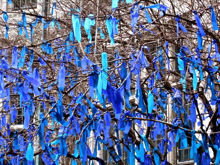 What Do Blue Ribbons On Trees Mean