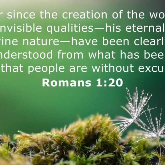 What Does Romans 1 20 Mean