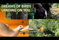 What Does It Mean When You Dream Of Birds