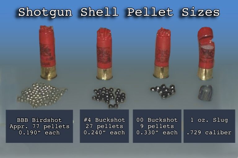 What Does 8 Shot Mean In Shotgun Shells