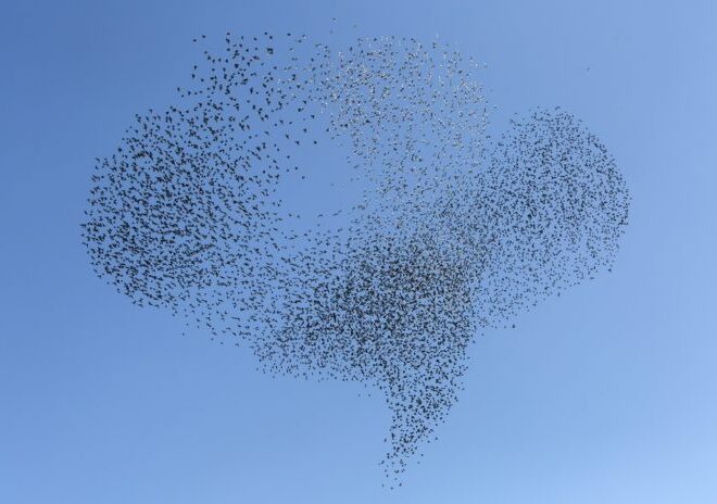 What Does It Mean If A Team Is