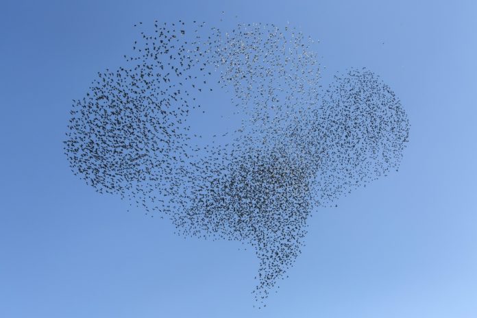 What Does It Mean If A Team Is