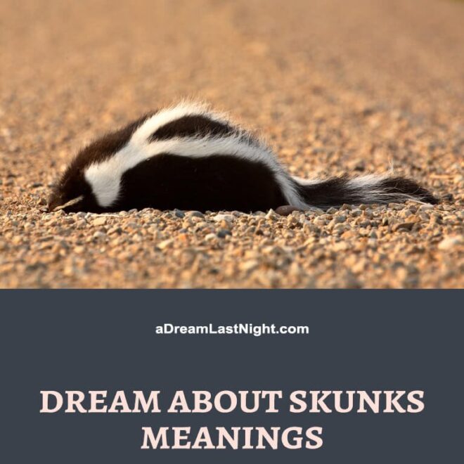 What Does It Mean To Dream About Skunks