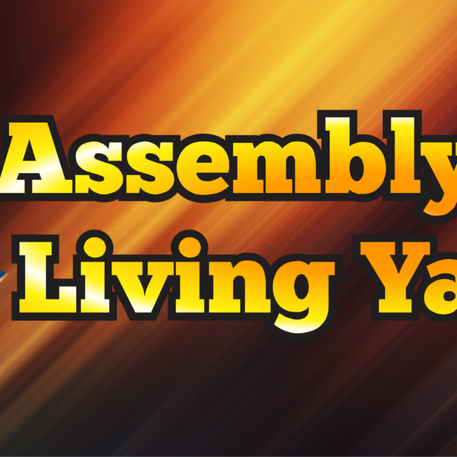 What Does Pre Authorization Debit Mean