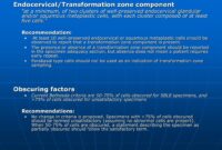 What Does Endocervical Transformation Zone Component Present Mean