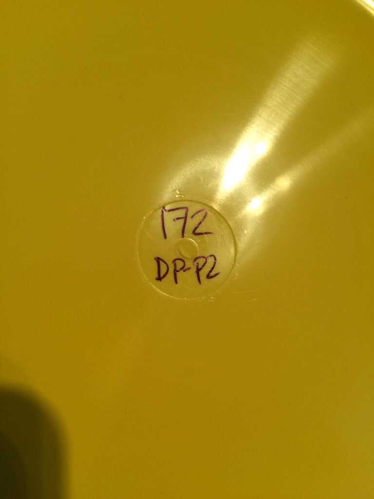 What Does P2 Mean