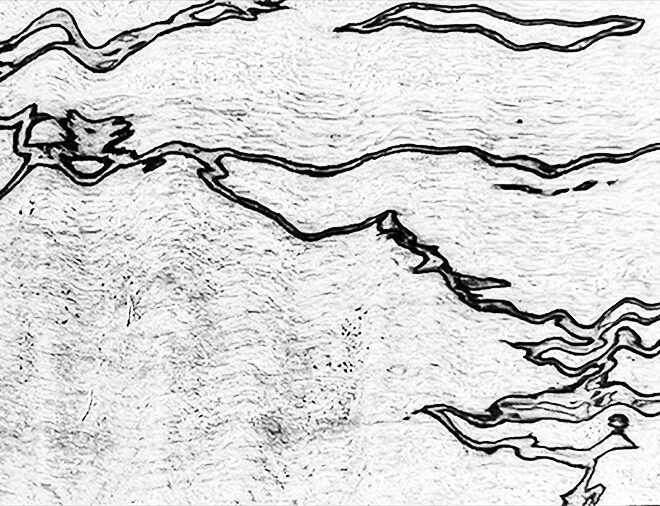 What Does Spalted Wood Mean