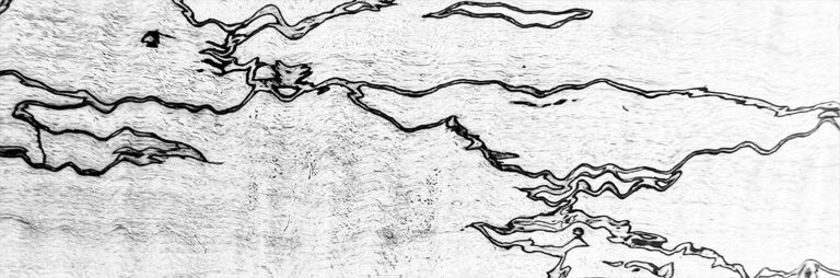 What Does Spalted Wood Mean