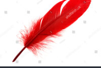 What Does Red Feather Mean