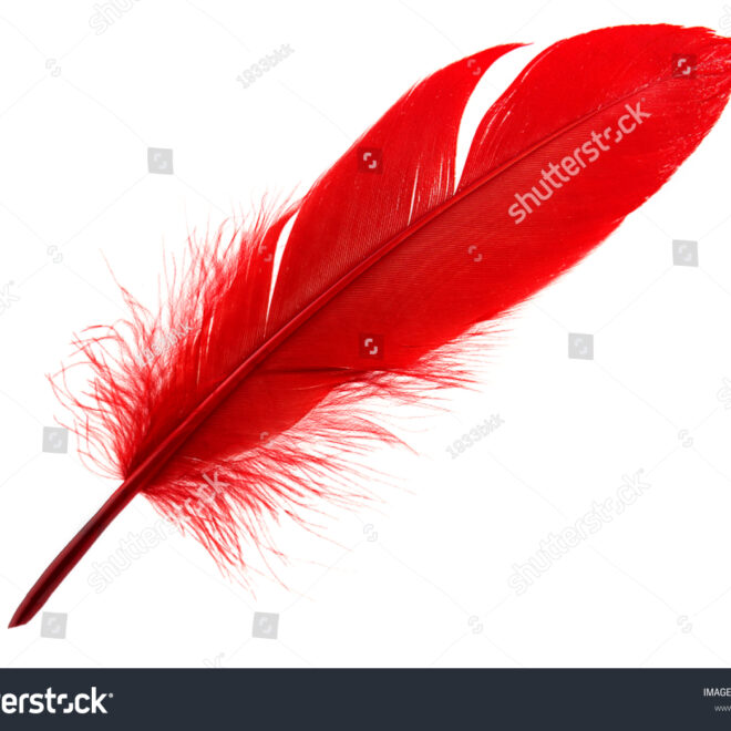 What Does Red Feather Mean