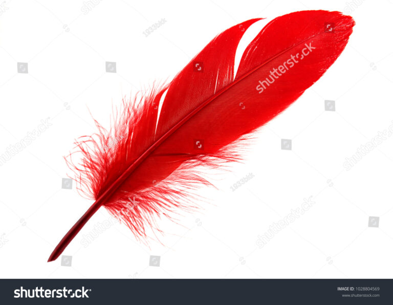 What Does Red Feather Mean