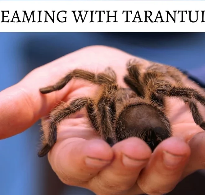 What Does Dreaming About Tarantulas Mean