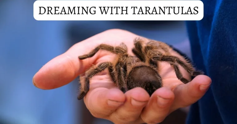 What Does Dreaming About Tarantulas Mean
