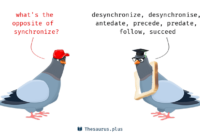 What Does Synchronize Mail Mean