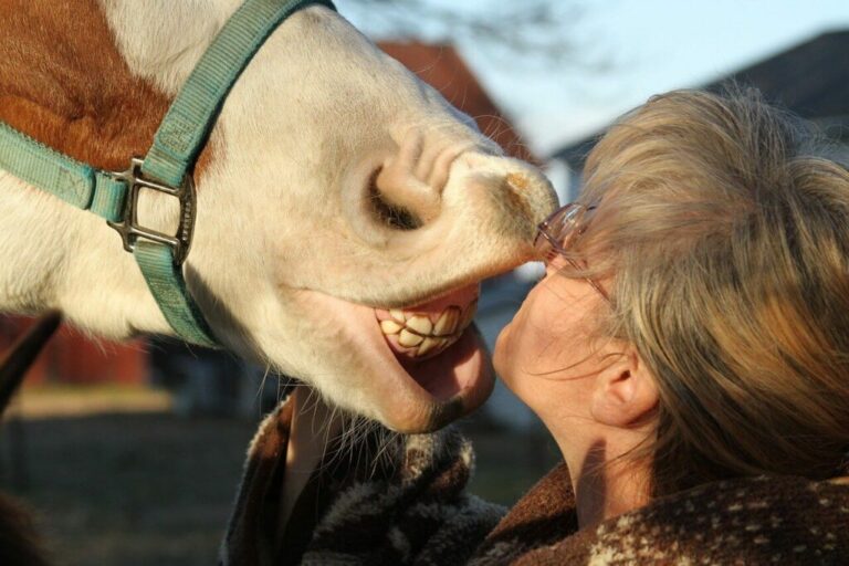 What Does It Mean When A Horse Shows Its Teeth