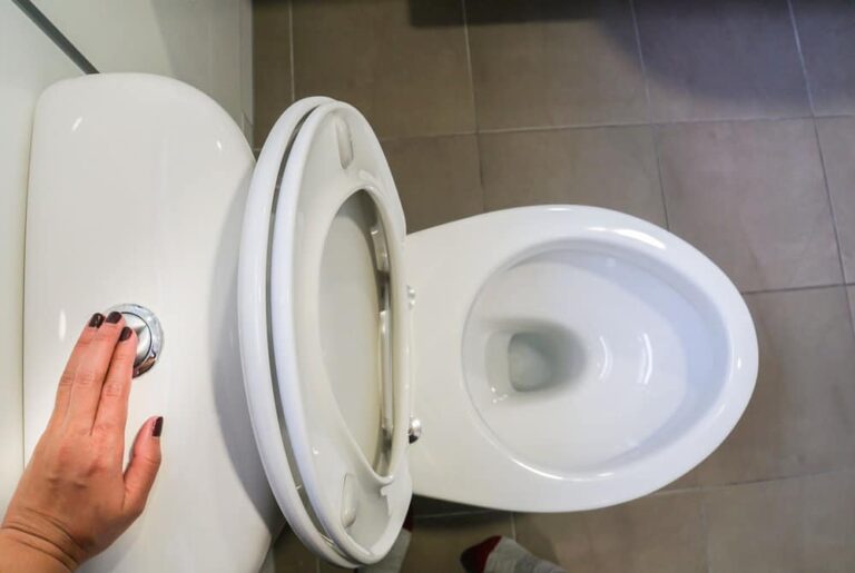 What Does It Mean When Your Toilet Whistles
