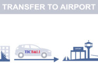 What Does Self Transfer Mean At Airport