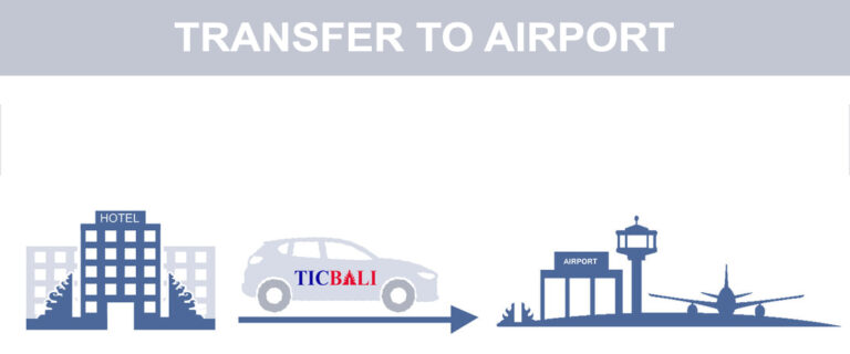 What Does Self Transfer Mean At Airport
