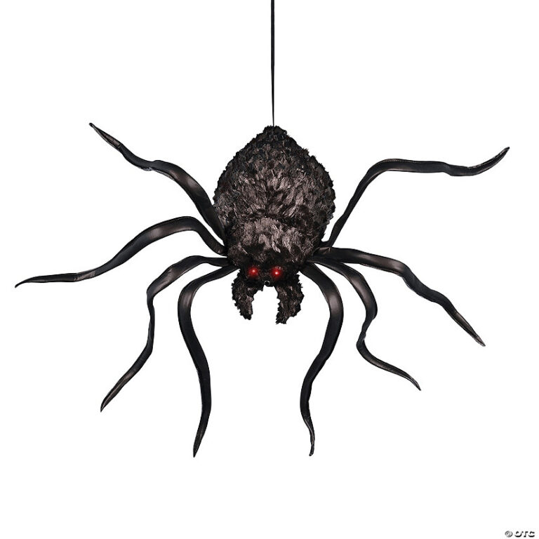 What Does It Mean When A Spider Shaking Its Bum