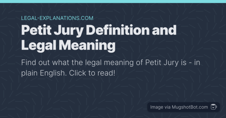 What Does Petit Jury Mean