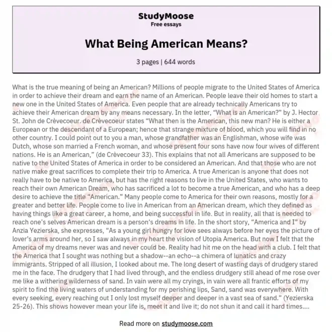 What It Means To Be An American Essay
