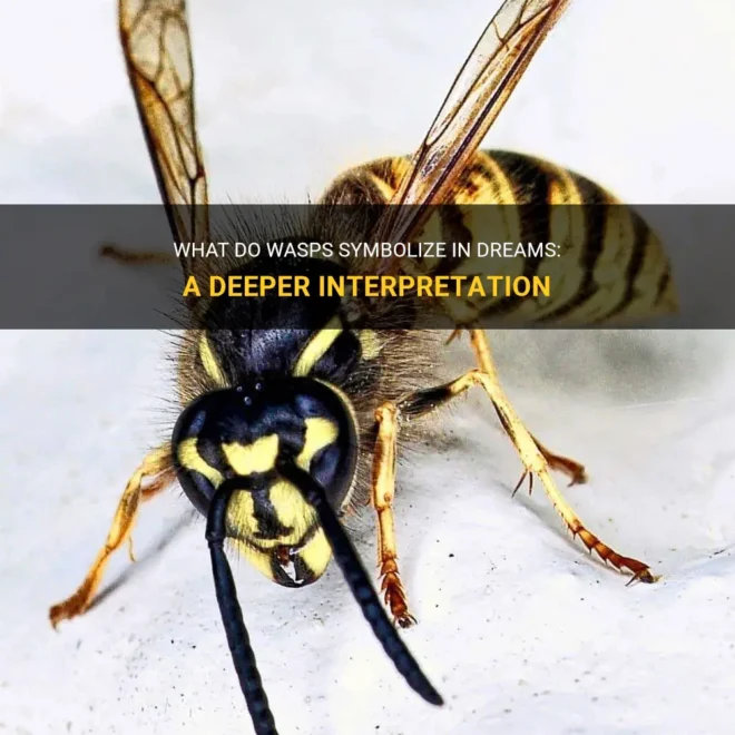 What Do Wasps Mean In A Dream