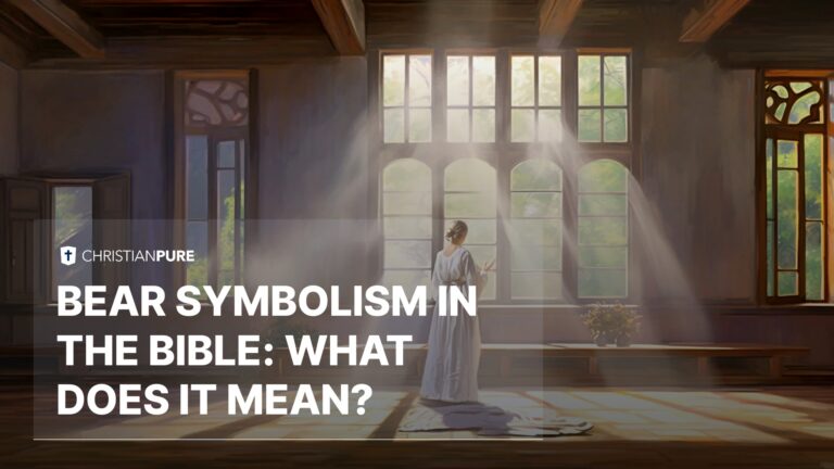 What Does Bear Mean In The Bible