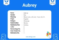 What Does Aubrey Mean In The Bible