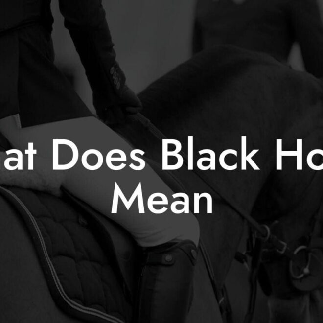 What Does Black Horse Mean