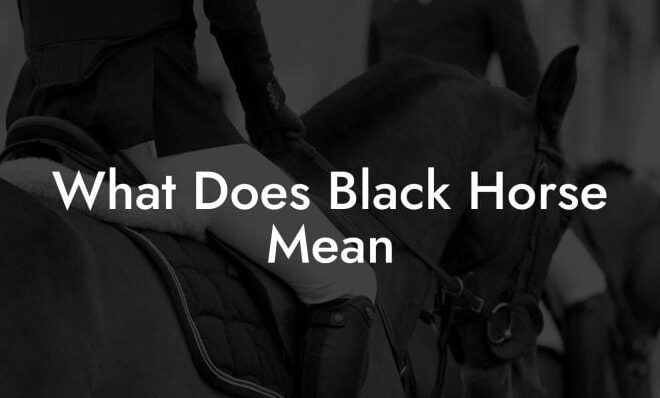 What Does A Black Horse Mean