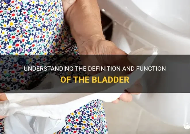 What Does Bladder Mean In Shakespearean Language