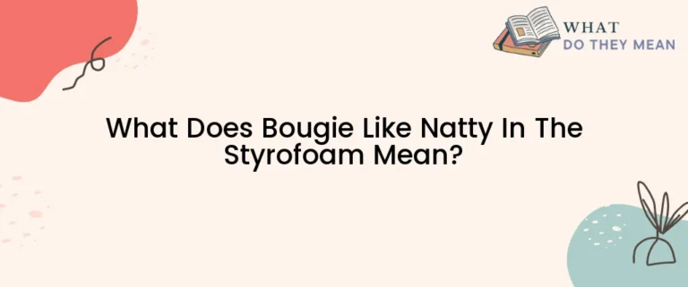 What Does Bougie Like Natty In The Styrofoam Mean