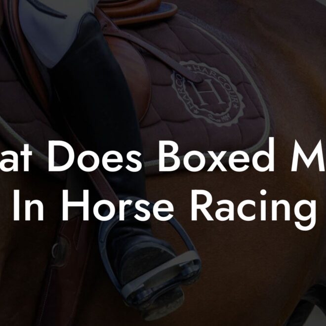 What Does Box Mean In Horse Racing
