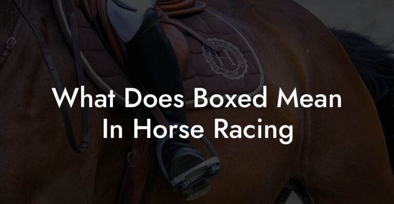 What Does Box Mean In Horse Racing