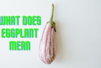 What Does The Eggplant Mean On Pof