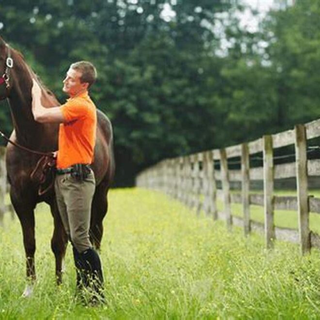 What Does It Mean To Lease A Horse