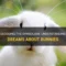 What Does It Mean To Dream About Bunnies