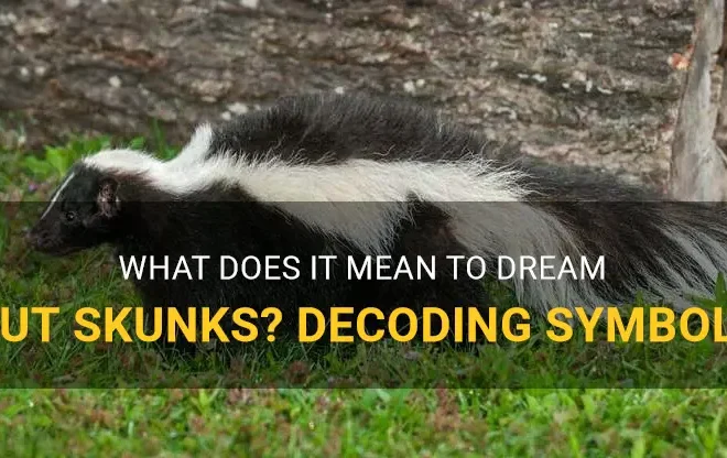 What Does It Mean When You Dream About Skunks