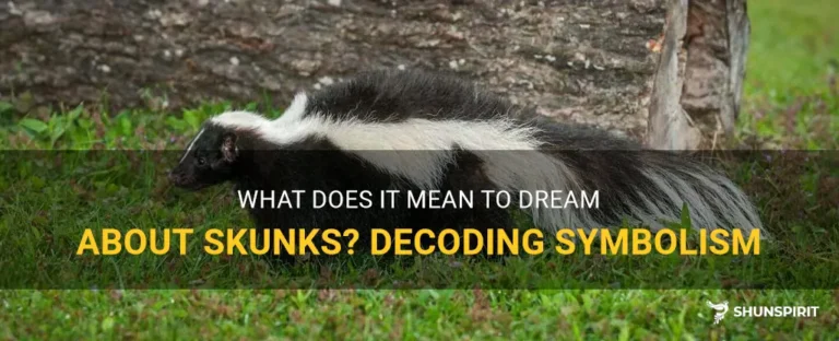 What Does It Mean When You Dream About Skunks