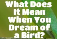 What Does It Mean When You Dream About A Bird